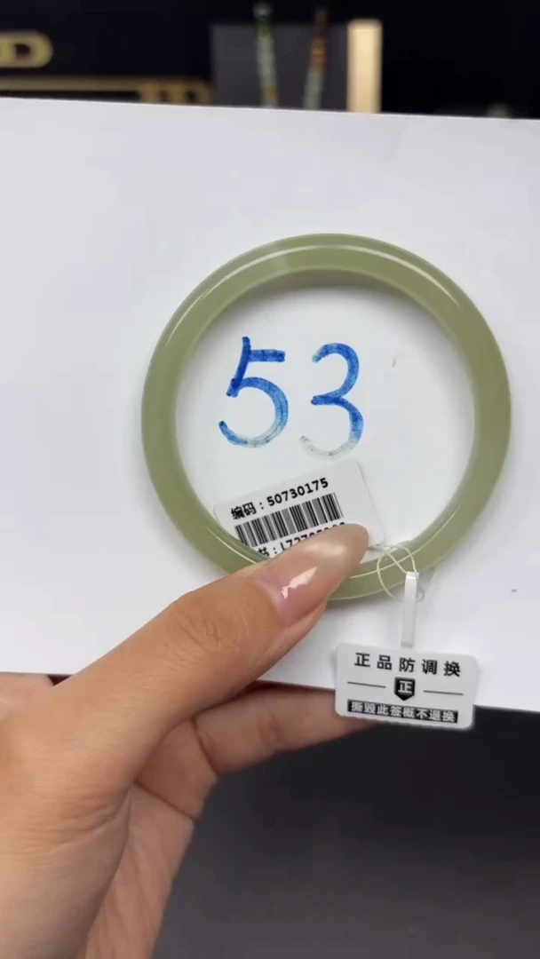 未镶嵌手镯和田玉0175