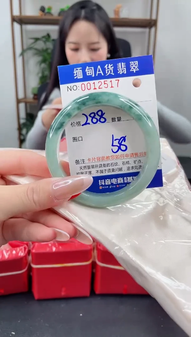 未镶嵌手镯翡翠1