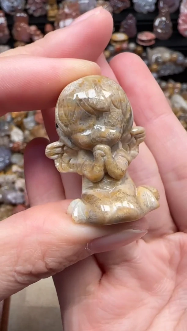 颈饰未镶嵌硅化珊瑚（珊瑚玉）263