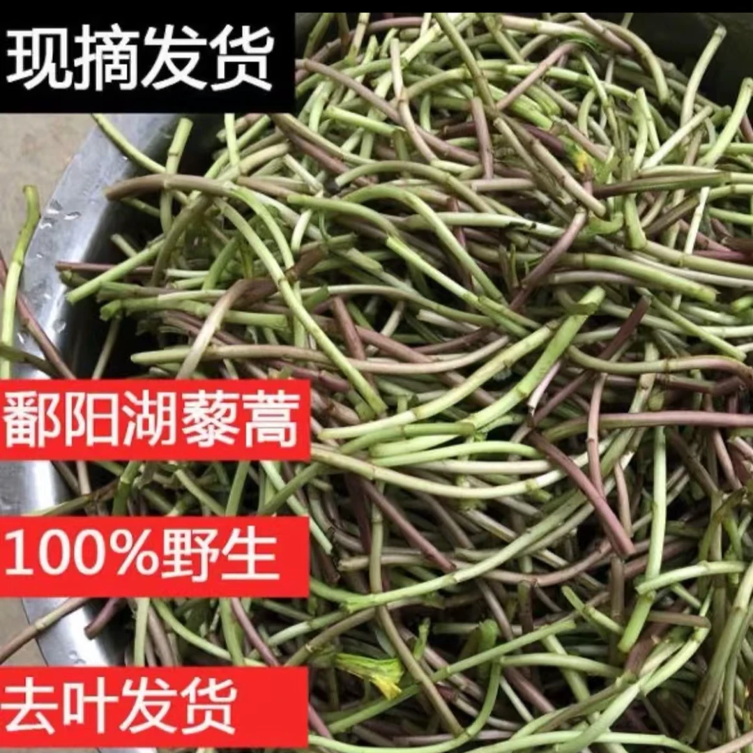 鄱阳湖野生藜蒿有叶无叶泡沫箱加冰 包邮