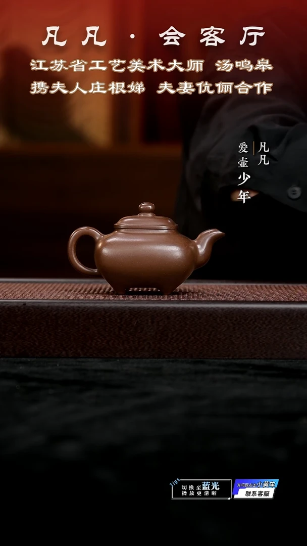 茶壶紫砂凡凡会客厅 紫砂壶20 传炉紫泥
