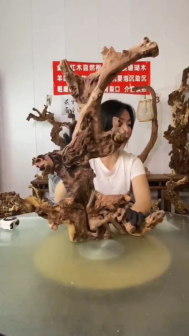 香榧木信**行金丝红木 羊蹄甲