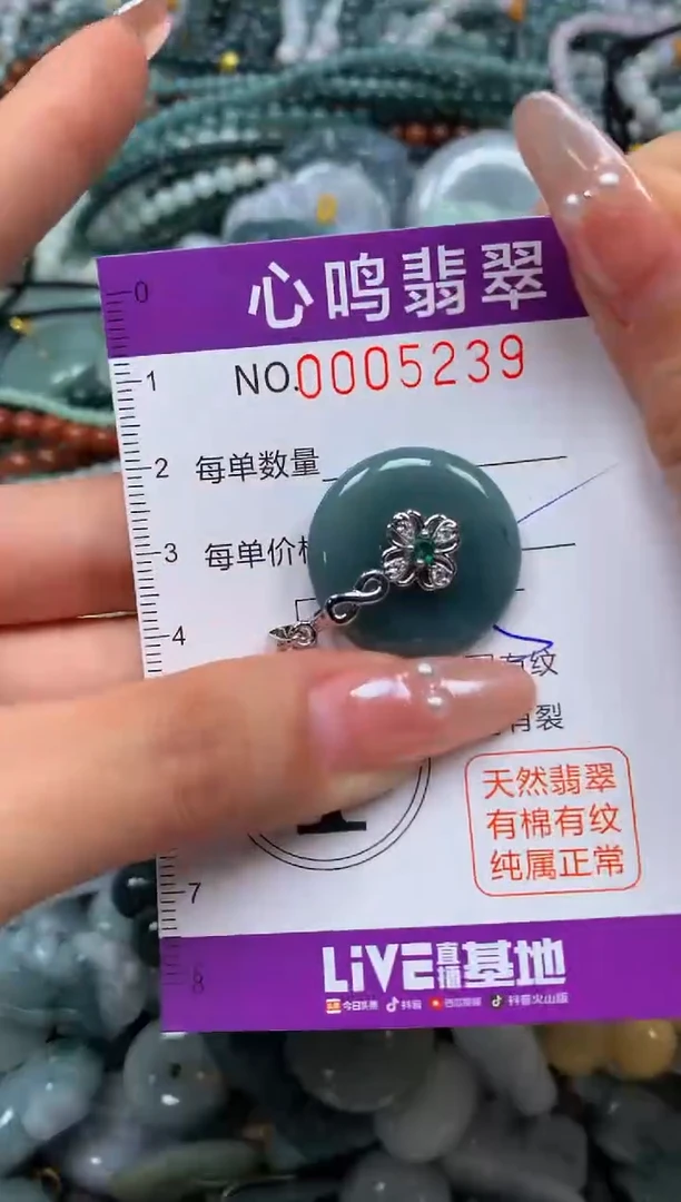 颈饰未镶嵌翡翠闪购005239