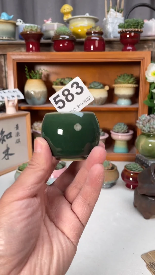 瓷片583小芳直播编号
