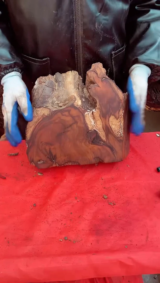 【闪购商品】枣木【55】号原木段，尺寸随行