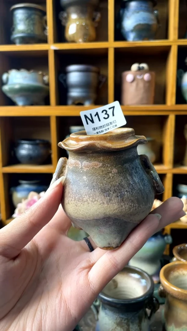 137内口3【多肉花盆多肉盆】