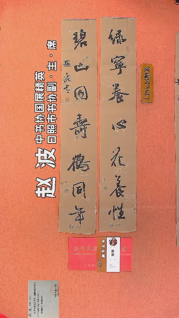 【闪购商品】书法87         赵波老师作品