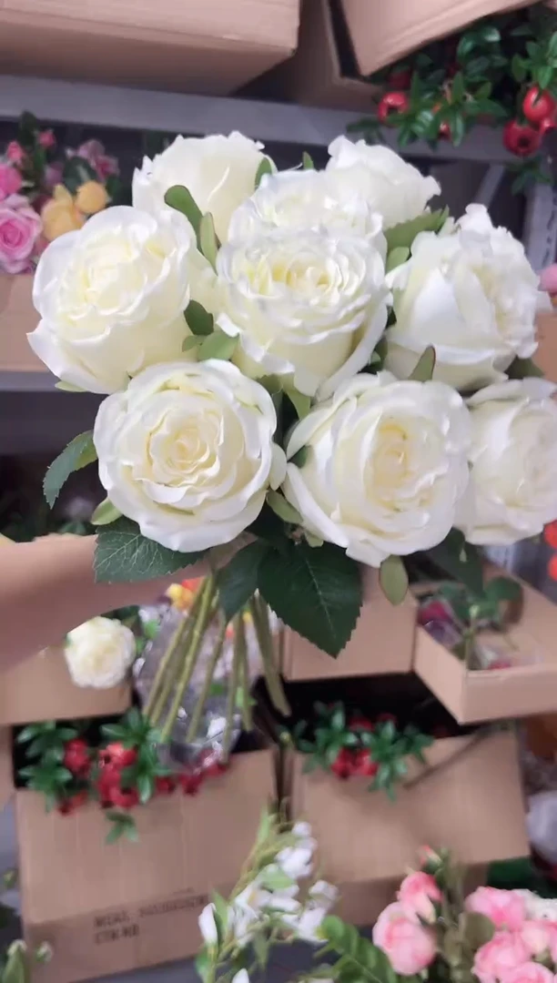 10枝白色洛神花花