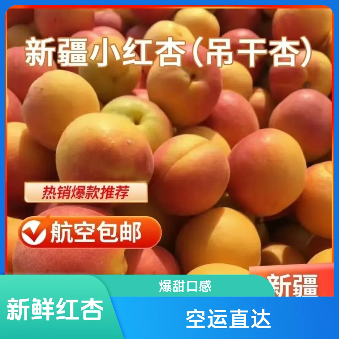 新鲜红杏川渝次日达新疆种出来杏子同城送四川省