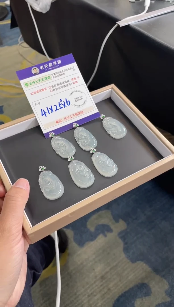 18K金镶嵌挂件翡翠如意F16配链/多样性发其一ZBCP