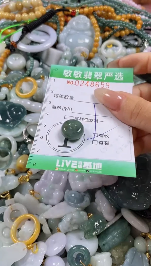 翡翠未镶嵌颈饰闪购0248659