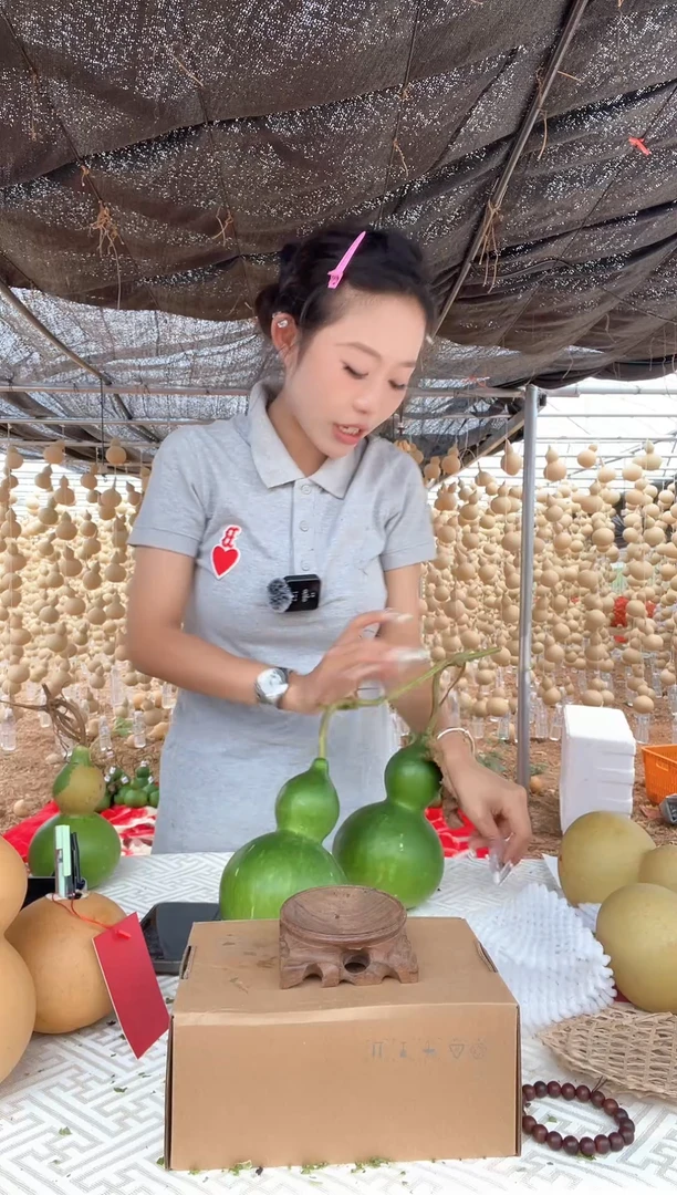 043天然葫芦摆件 一物一拍