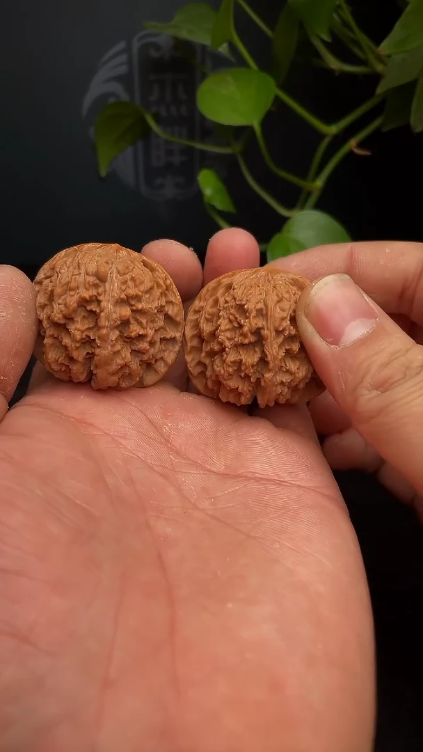 【闪购商品】文玩核桃把件40尺满天星.团