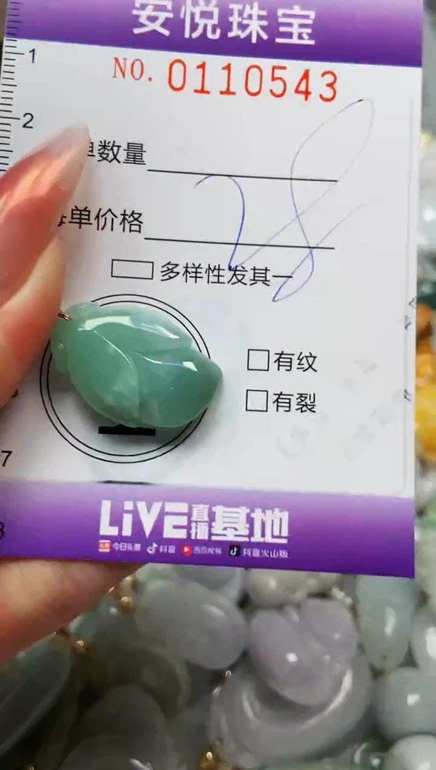 【闪购商品】翡翠颈饰未镶嵌闪购0110543
