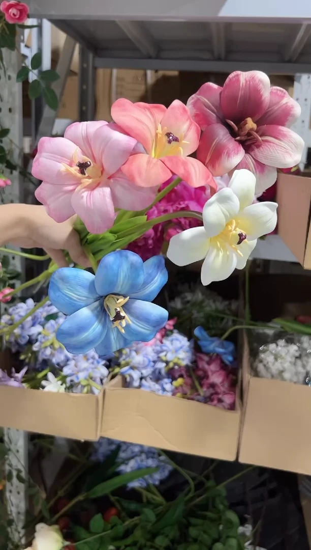 5枝混色布朗尼郁金香