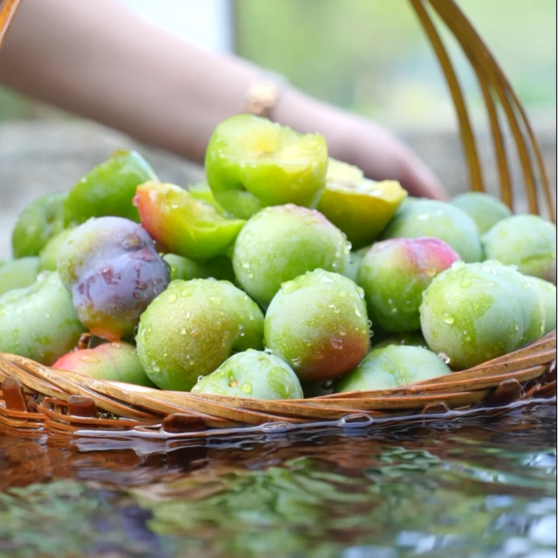 秭归樱桃李半边红净重4.5斤脆甜可口高海拔现摘现发顺丰包邮