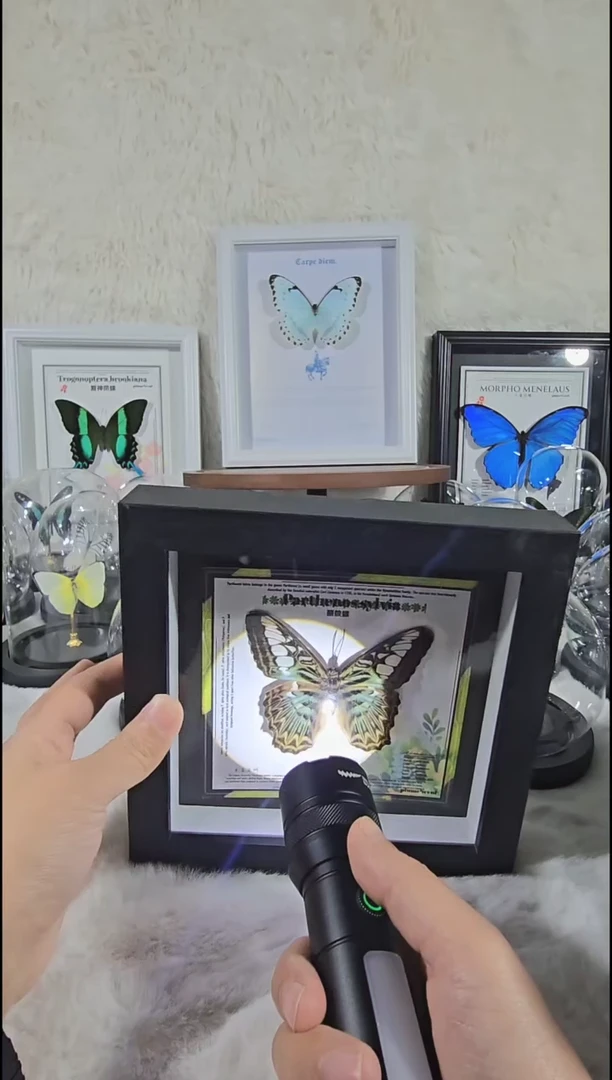 有机玻璃丽蛱蝶xu新款相框