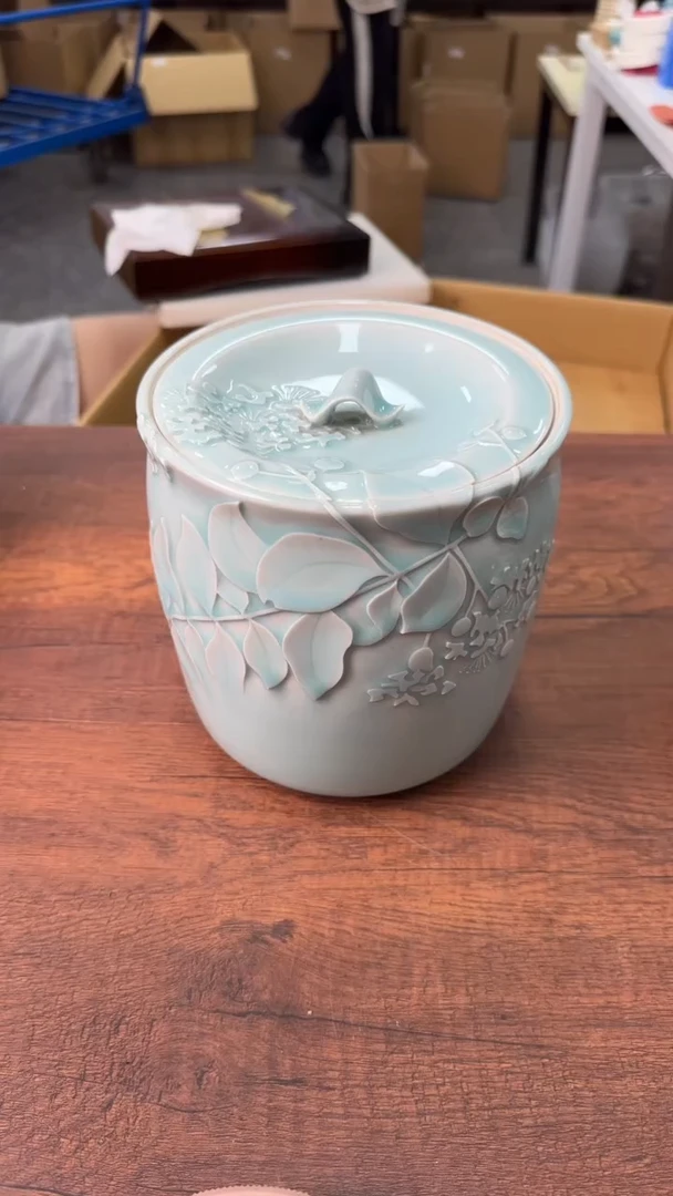 胖**李追光的人会光芒万丈