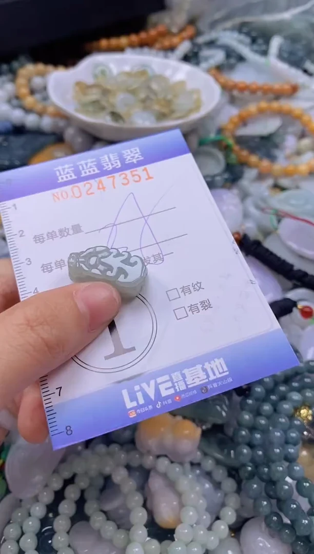 翡翠未镶嵌颈饰闪购0247351