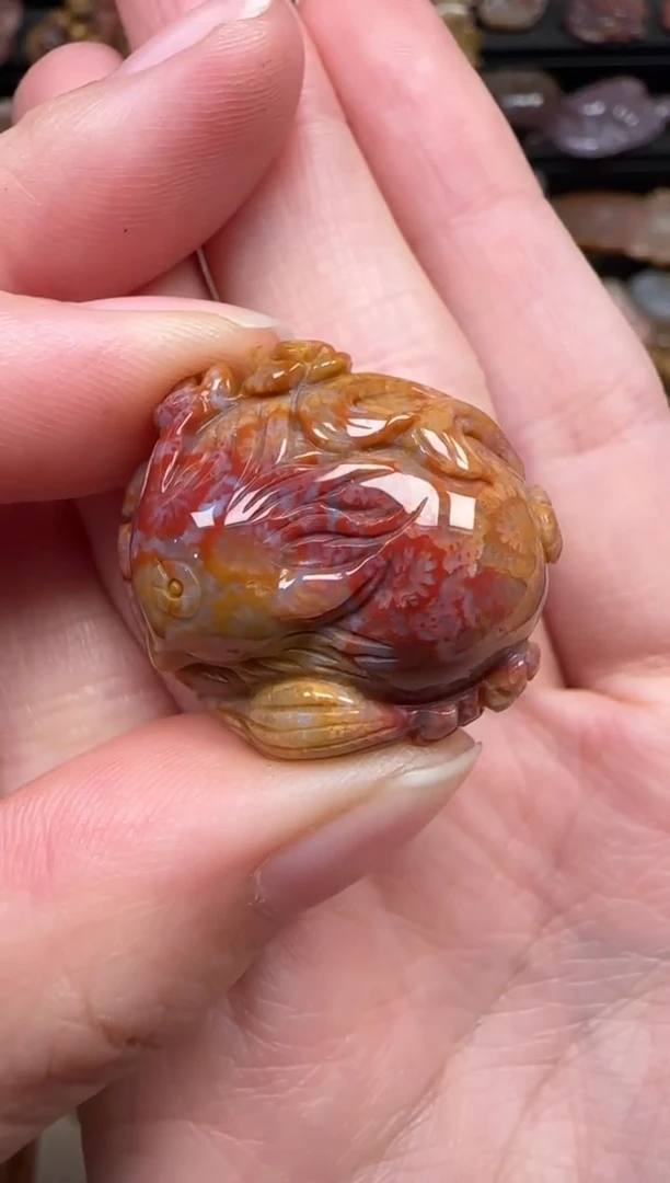 颈饰未镶嵌硅化珊瑚（珊瑚玉）409