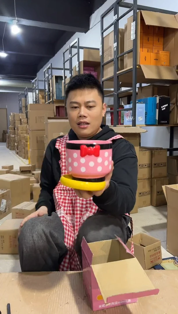 【闪购商品】杯陶瓷原盒米妮花盆