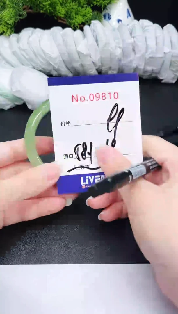 未镶嵌手镯翡翠9810