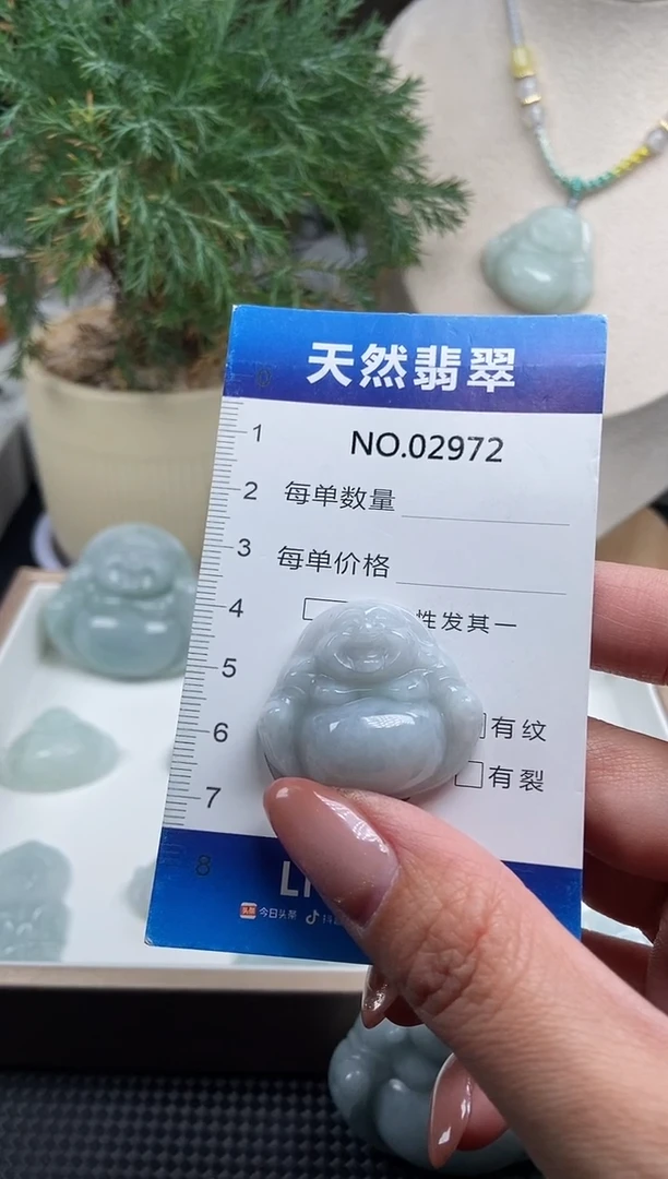 颈饰未镶嵌翡翠纯天然A货翡翠2972