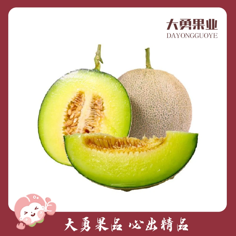 【1个】网纹瓜/口口蜜  约2斤±100g(一藤一瓜，冰淇淋般的口感，甜润多汁)