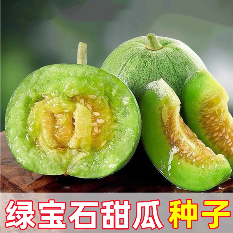 绿宝石甜瓜种子香甜可口瓜香浓郁种植简单易管理地种盆栽都可以