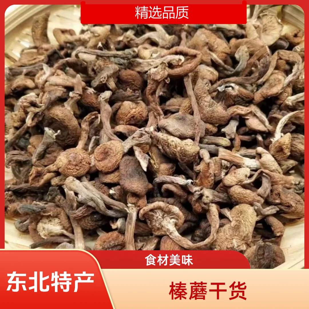 东北特产榛蘑.小鸡炖蘑菇干货自然晾晒食材