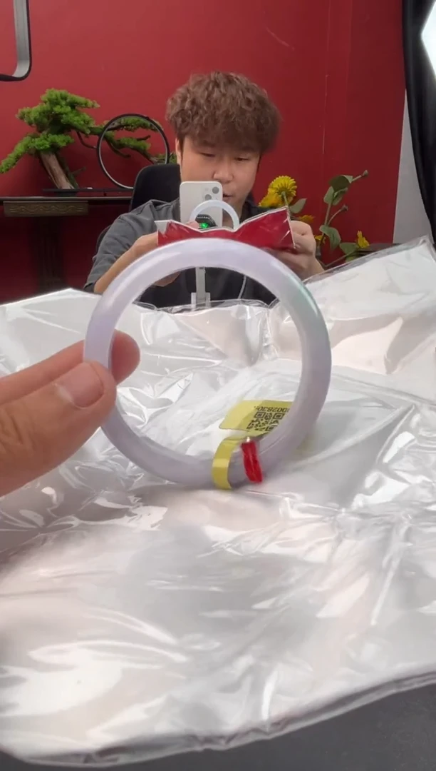 未镶嵌手镯翡翠9