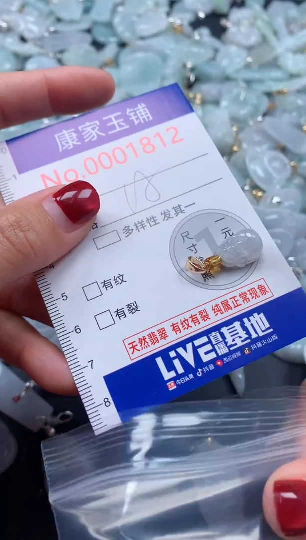 颈饰未镶嵌翡翠1812