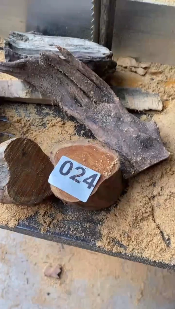 柏木（崖柏）太行山陈化崖柏切片一片