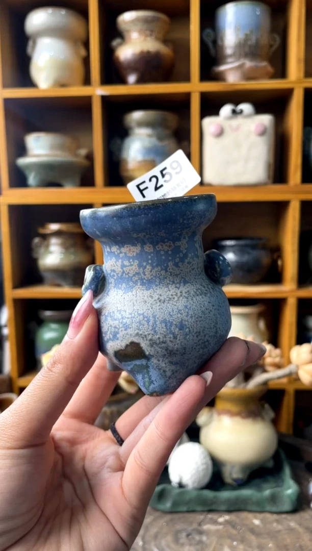 259内口5【多肉花盆多肉盆】