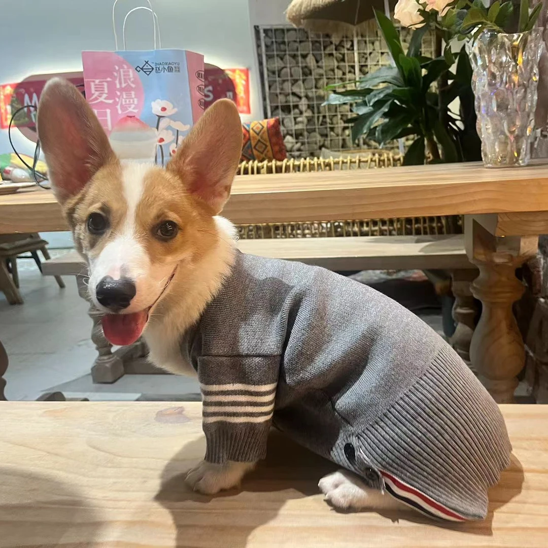 秋冬款潮流针织狗狗猫咪秋冬款开衫宠物服装适合雪纳瑞比熊约克夏
