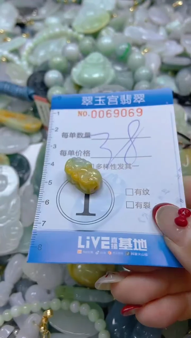 【闪购商品】翡翠颈饰未镶嵌闪购0069069