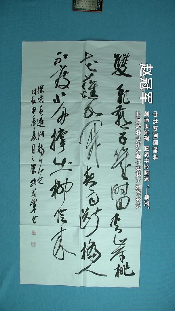 【闪购商品】书法277 上海赵冠军中书协138*69