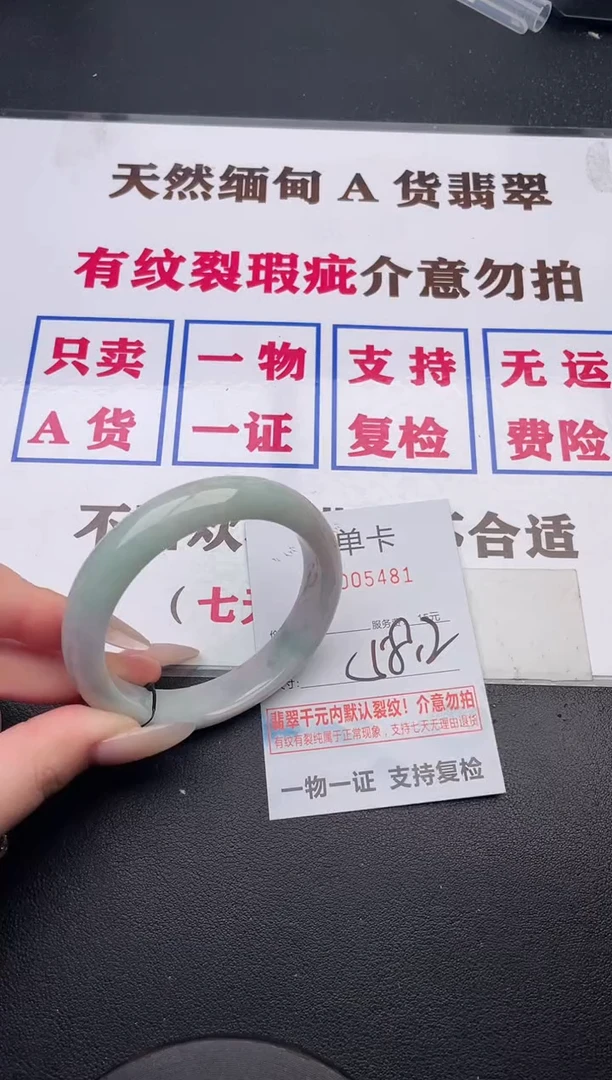 未镶嵌手镯翡翠81