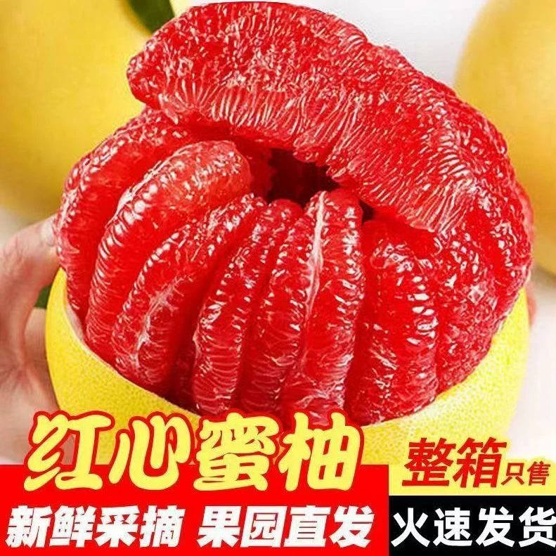 【果园直发】福建平和琯溪红心蜜柚老树头茬新鲜水果应季坏果包赔X