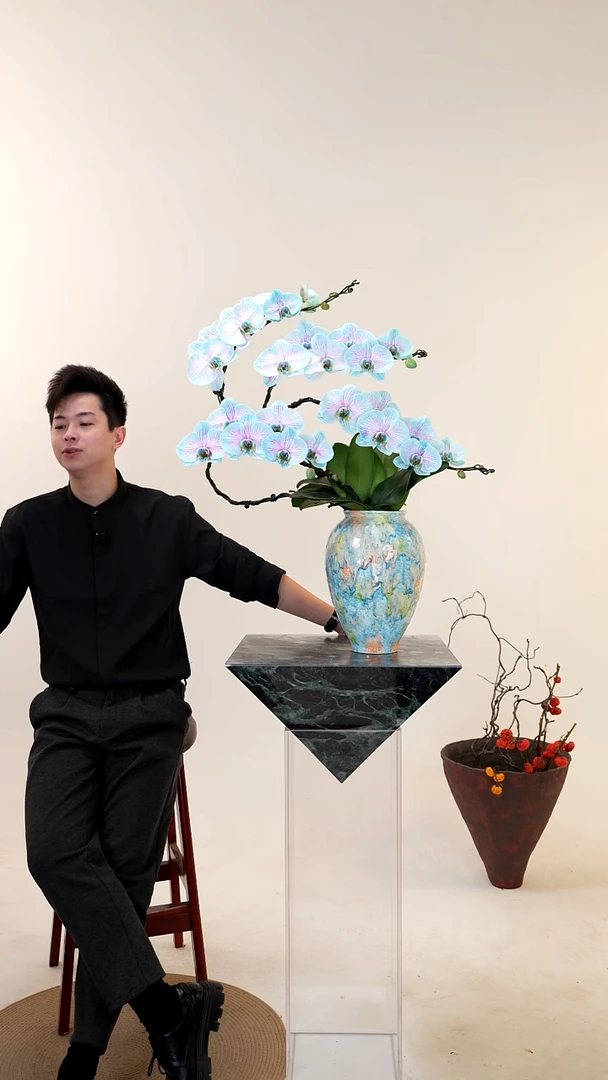 全部花朵058一物一拍蝴蝶兰盆景