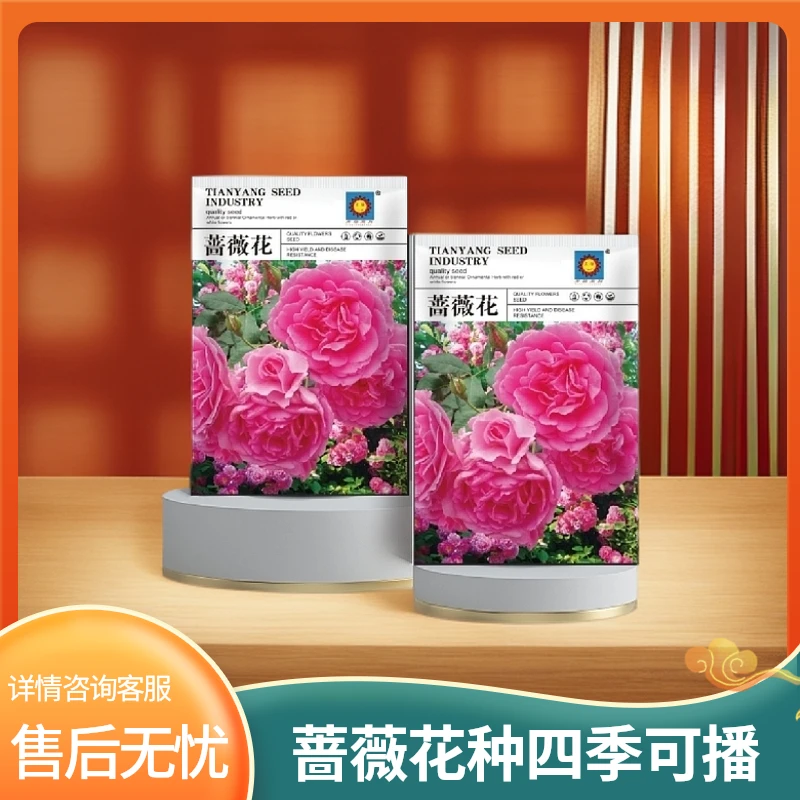 【采桑子】重瓣蔷薇花种籽四季播种室外庭院花卉种子