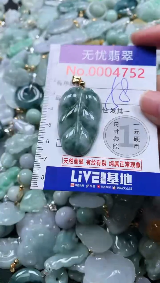 颈饰未镶嵌翡翠4752