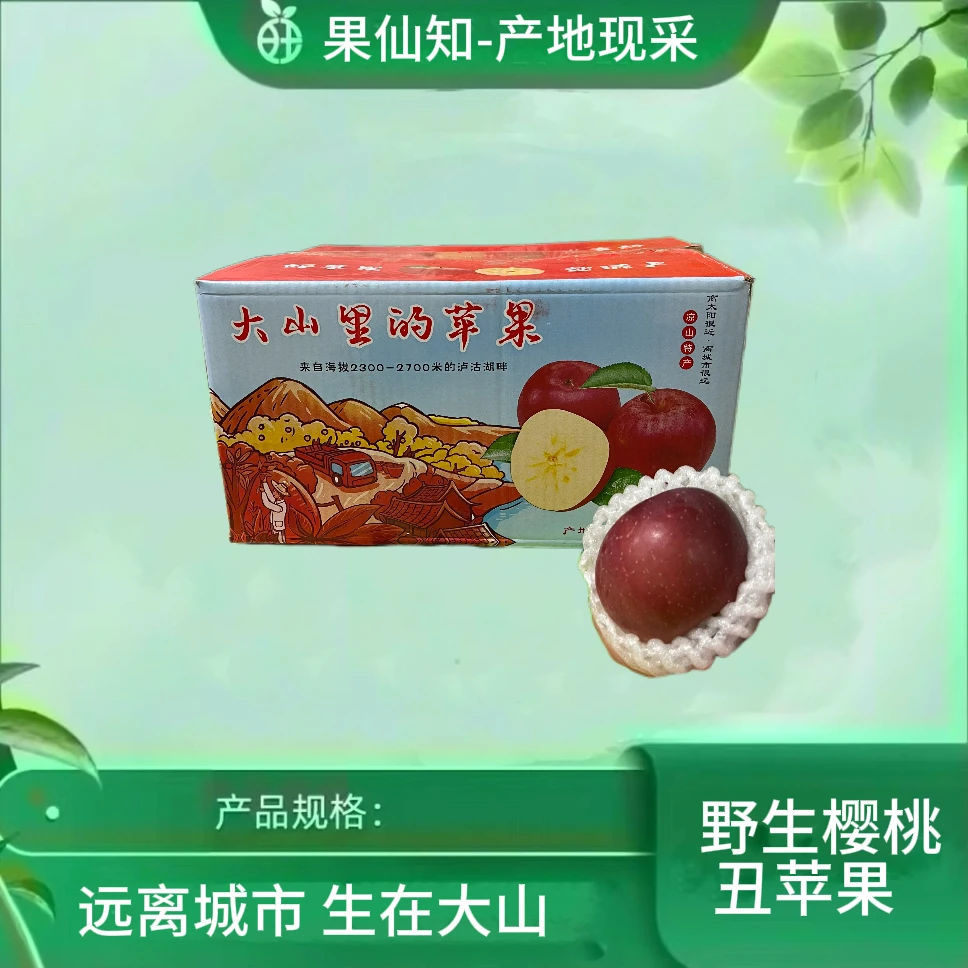 【泸沽湖高山野苹果】【甜度炸弹-净8/箱】四川省