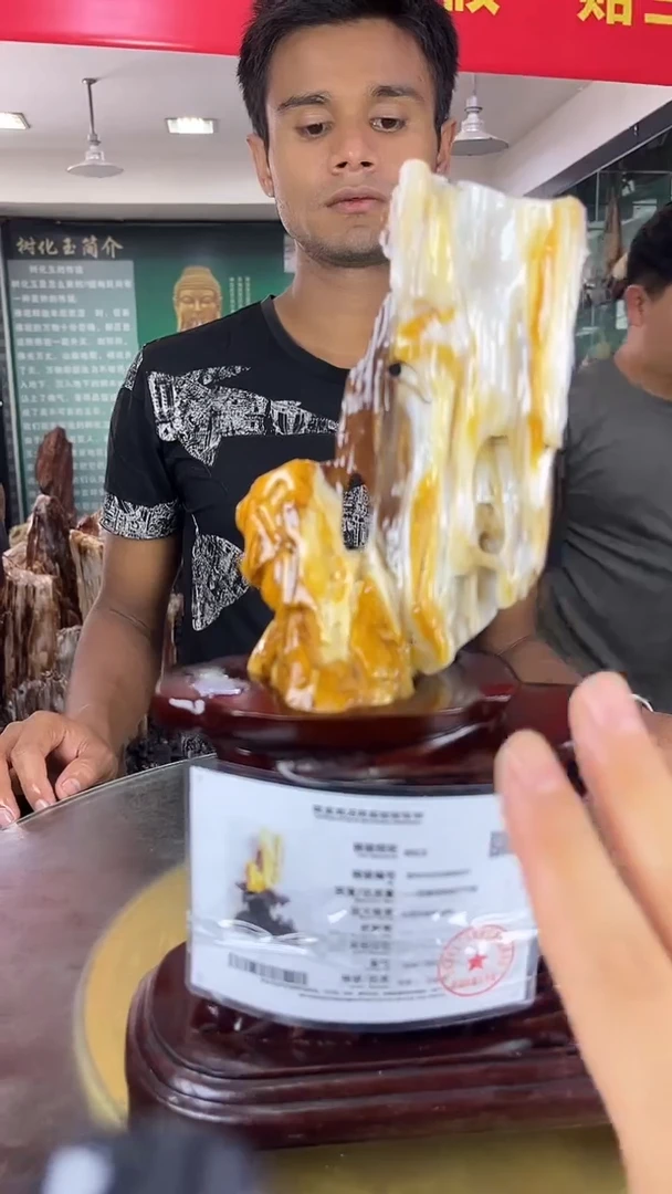 未镶嵌珠宝奇石硅化玉缅甸天然树化玉摆件