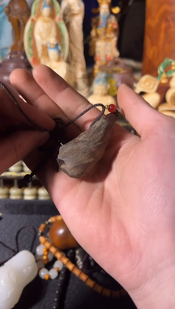 黄杨木1111111111111