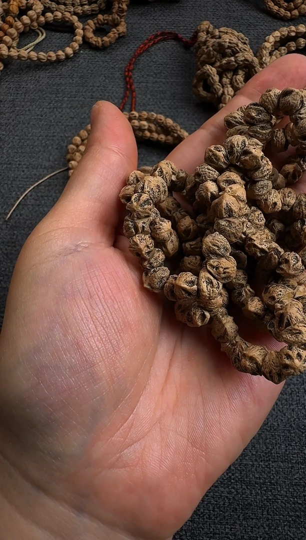 手串柏香籽/百香籽健***天横大肠