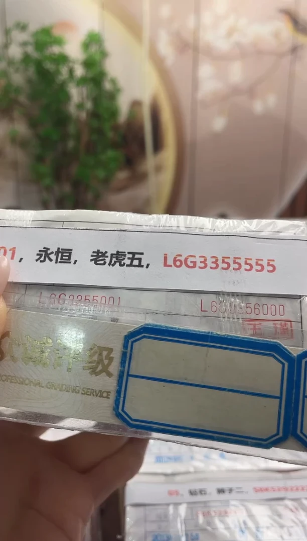 M 01，永恒，老虎五，L6G3355555
