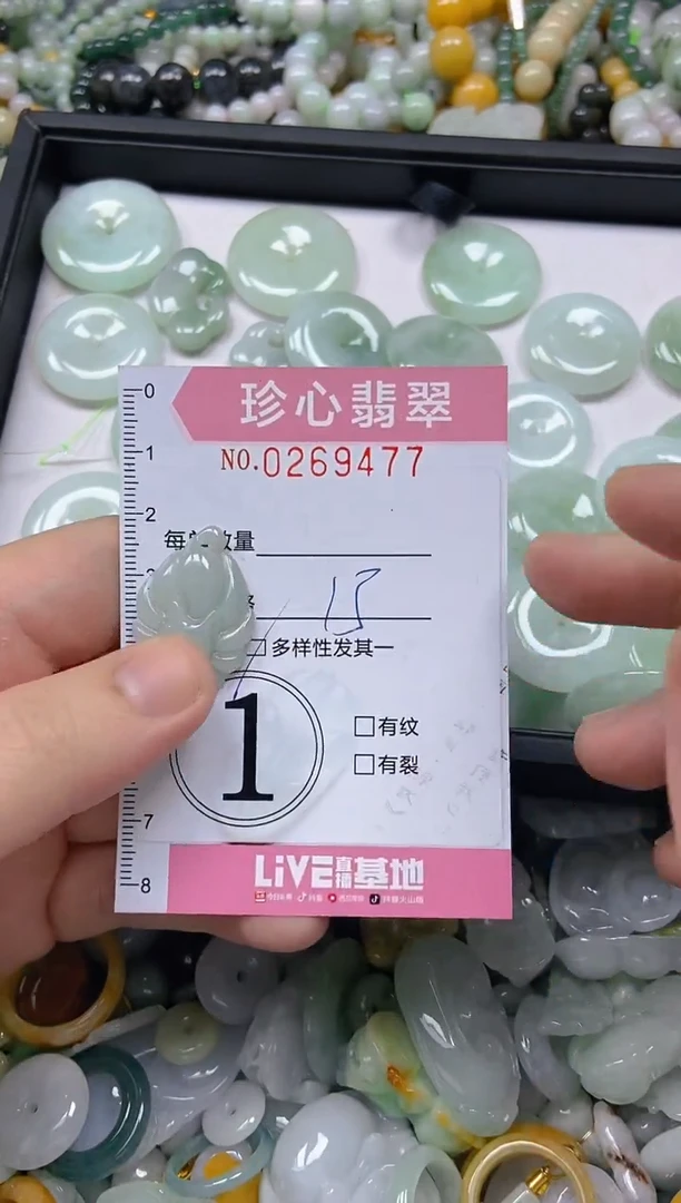 翡翠未镶嵌颈饰闪购0269477多样性发其一