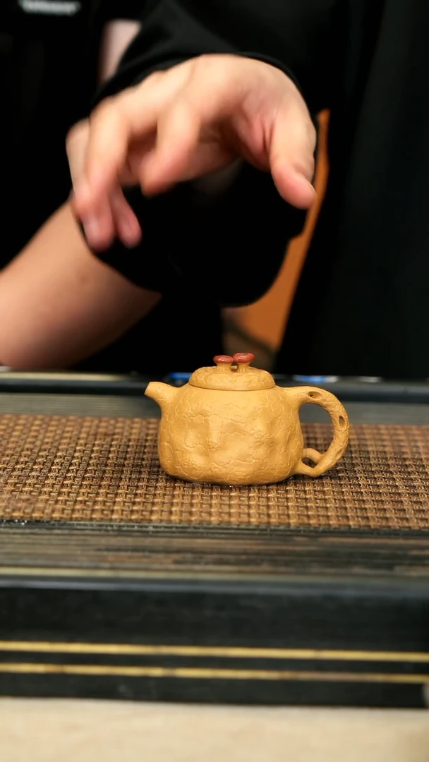 CHR26《灵芝小供春》芒果泥