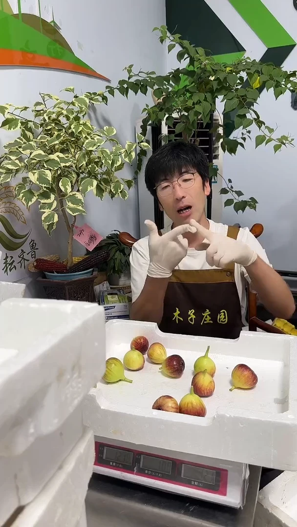 几*考黑无花果30枚